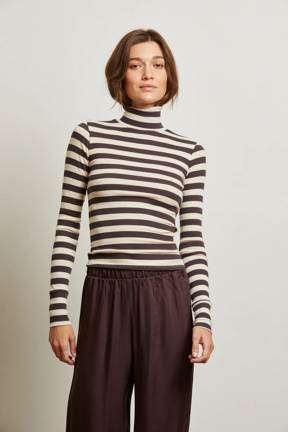Hayden Stripe Turtleneck