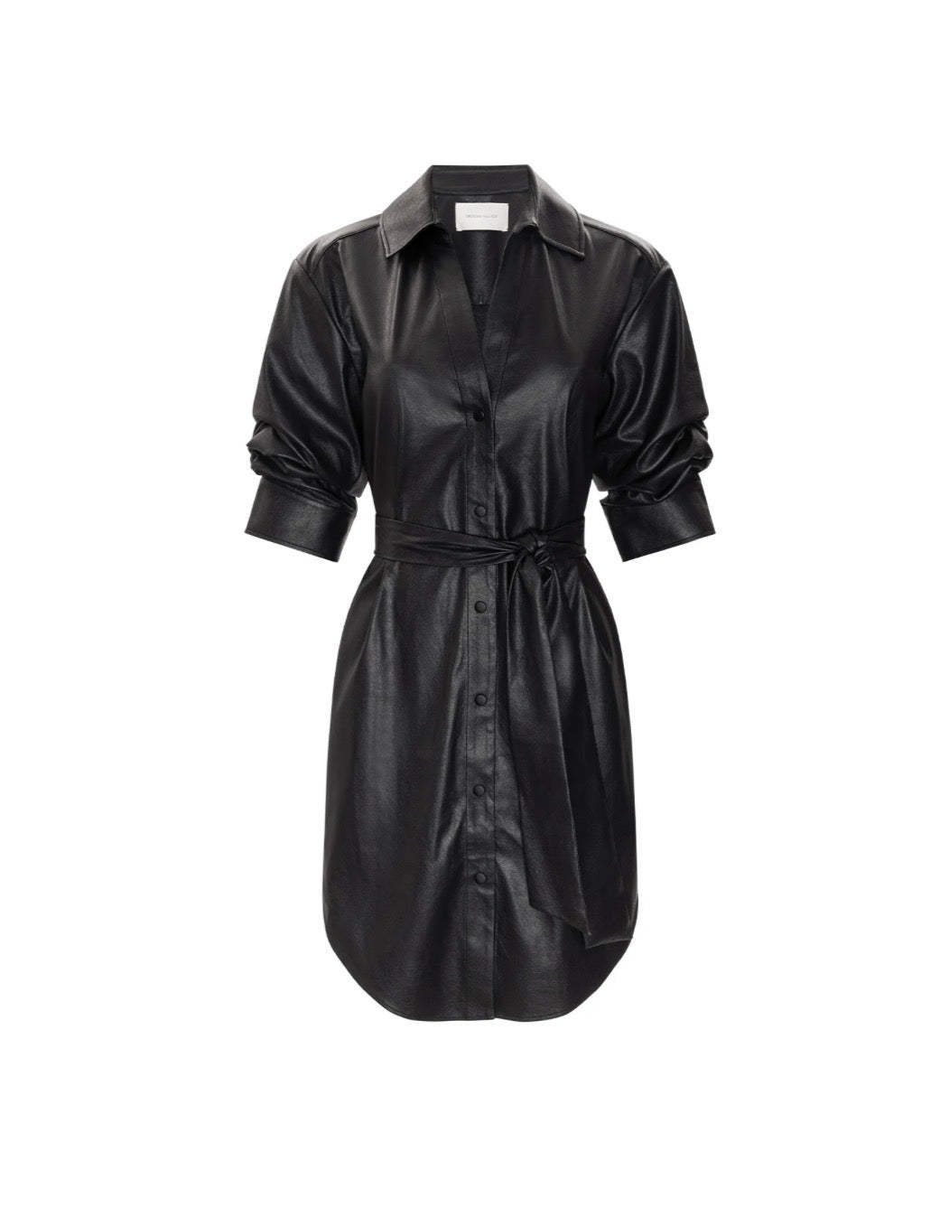 Pia Vegan Leather Dress
