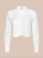 Seychelle Cropped Eyelet Blouse