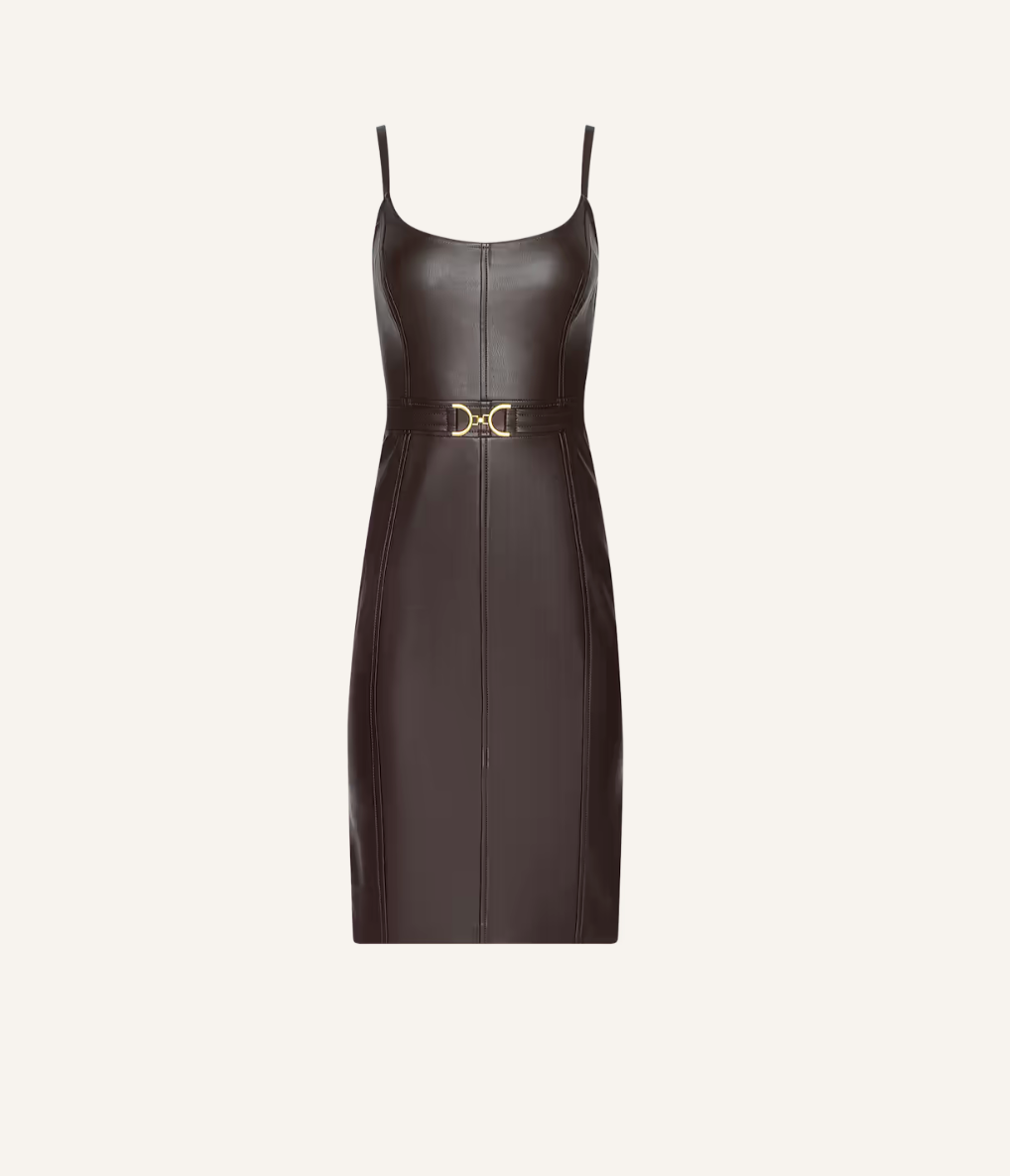 Halia Vegan Leather Dress